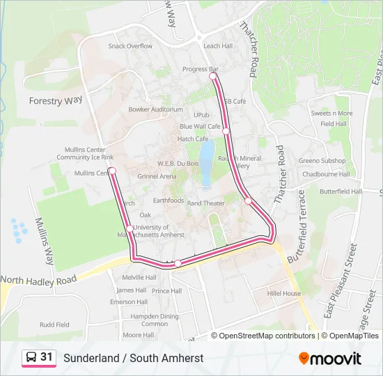 31 Bus Line Map