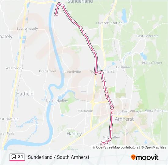 31 Bus Line Map
