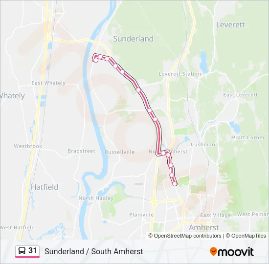 31 Bus Line Map