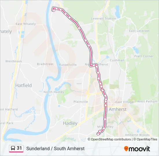 31 Bus Line Map