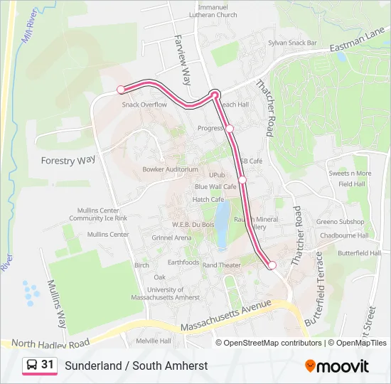 31 Bus Line Map