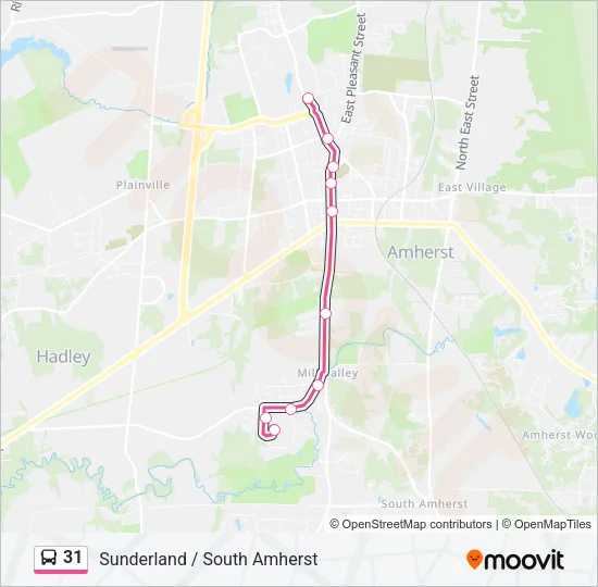 31 Bus Line Map