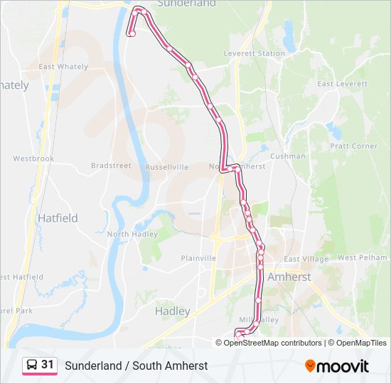 31 bus Line Map