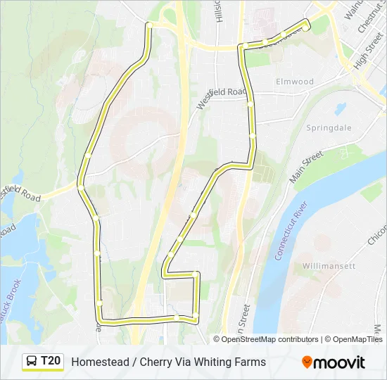 T20 Bus Line Map