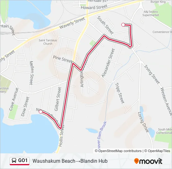 GO1 Bus Line Map