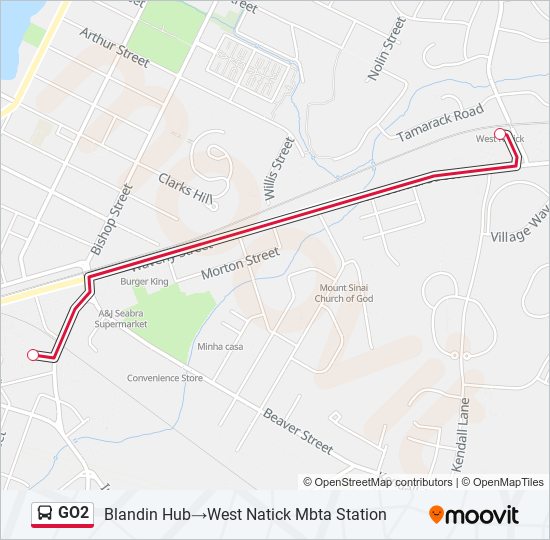 GO2 Bus Line Map