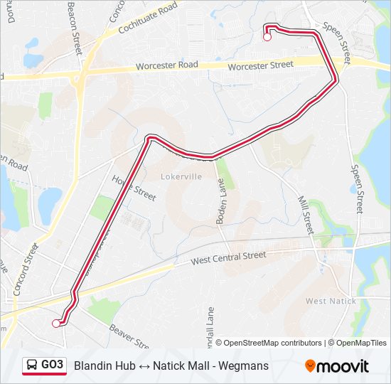 Mapa de GO3 de autobús