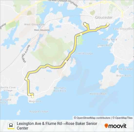 MAGNOLIA Bus Line Map