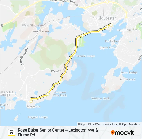 MAGNOLIA Bus Line Map