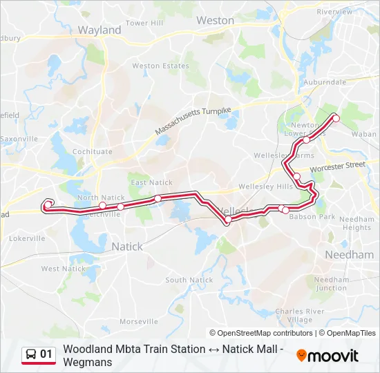 01 Bus Line Map