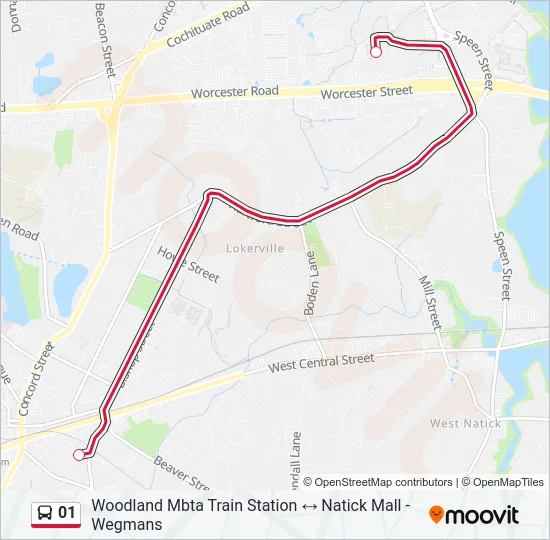 01 Bus Line Map