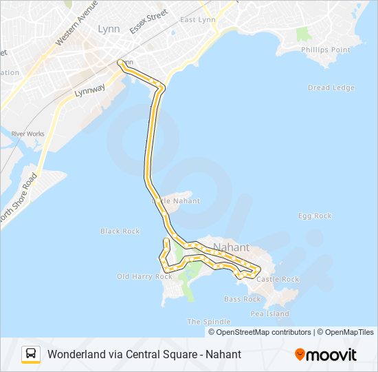 439 bus Line Map