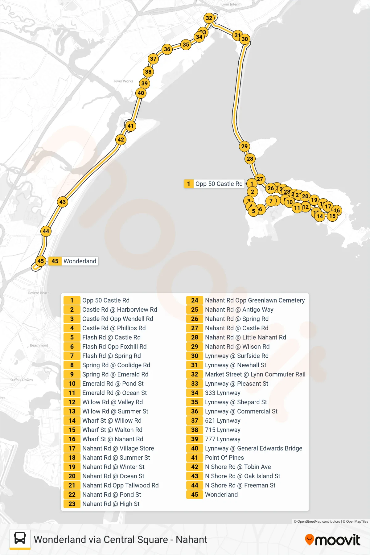 439 bus Line (Wonderland Via Central Square) route and stops on a map