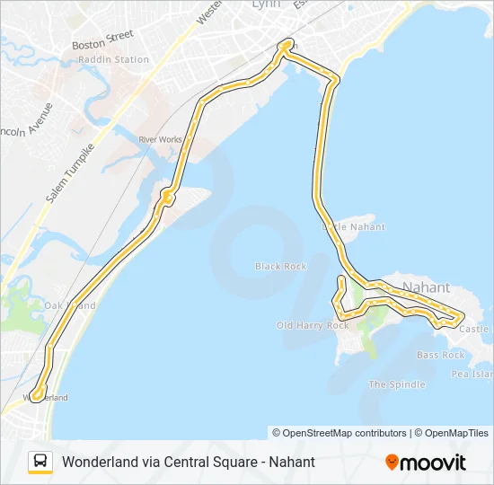 439 Bus Line Map