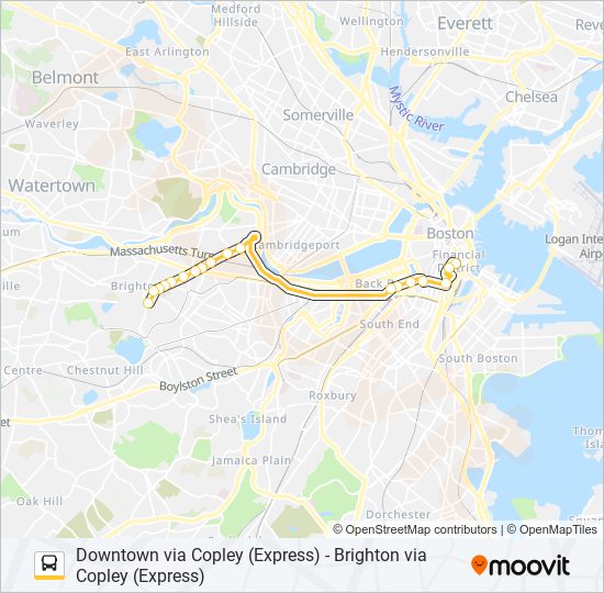 501 Route: Schedules, Stops & Maps - Long Branch Loop (Updated)