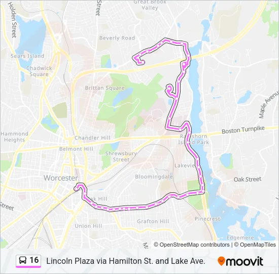 16 Bus Line Map