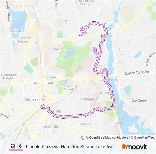 16 Bus Line Map