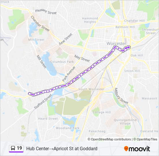 19 bus Line Map