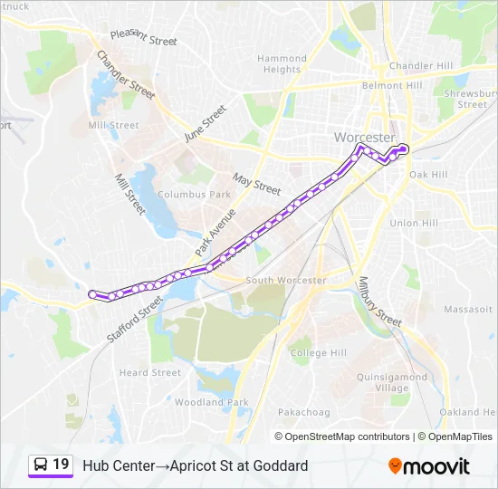19 Bus Line Map