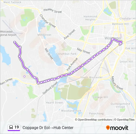 19 Bus Line Map
