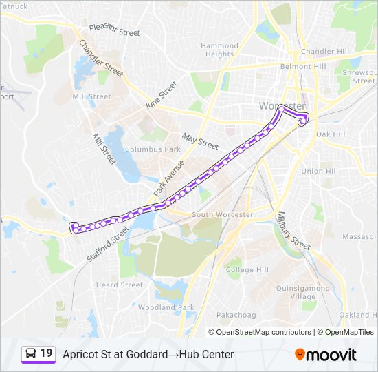 19 Bus Line Map