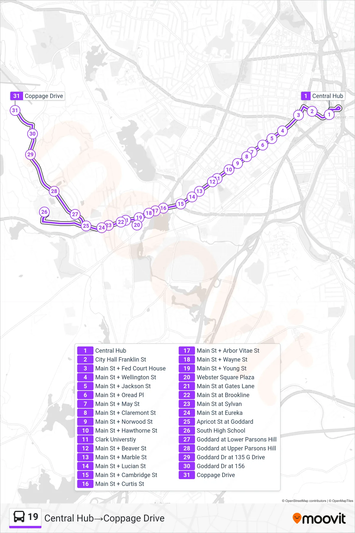 19 bus Line (Central Hub→Coppage Drive) route and stops on a map
