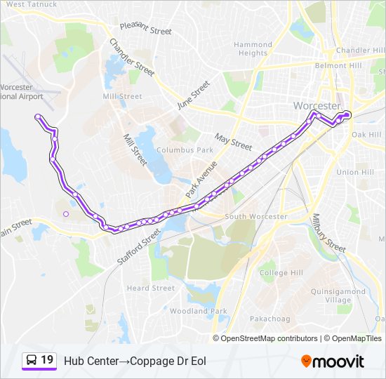 19 bus Line Map