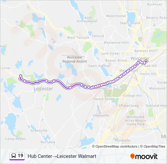 19 Bus Line Map