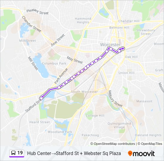 19 Bus Line Map