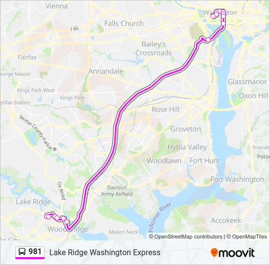 981 Bus Line Map