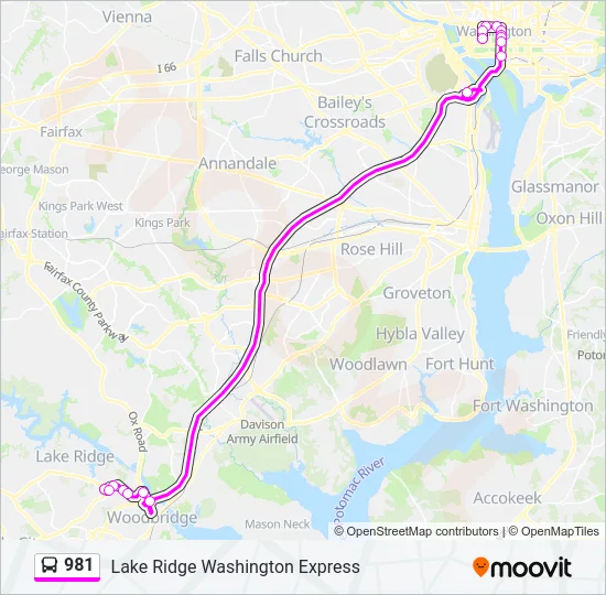 981 Bus Line Map