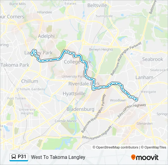 P31 Bus Line Map
