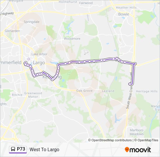 P73 Route Schedules Stops amp Maps - 9234276 