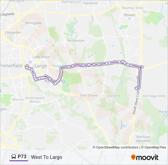 P73 Bus Line Map