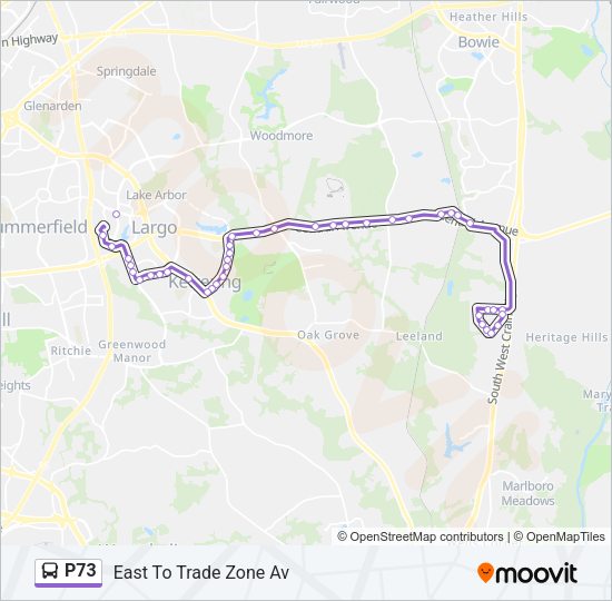 P73 Bus Line Map