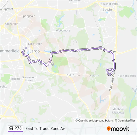 P73 Bus Line Map