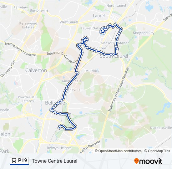 P19 Bus Line Map