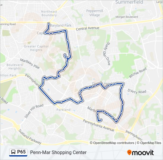 P65 Bus Line Map