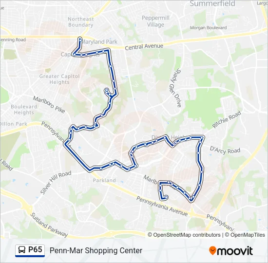 P65 Bus Line Map