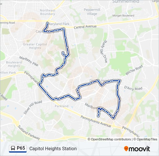 P65 Bus Line Map
