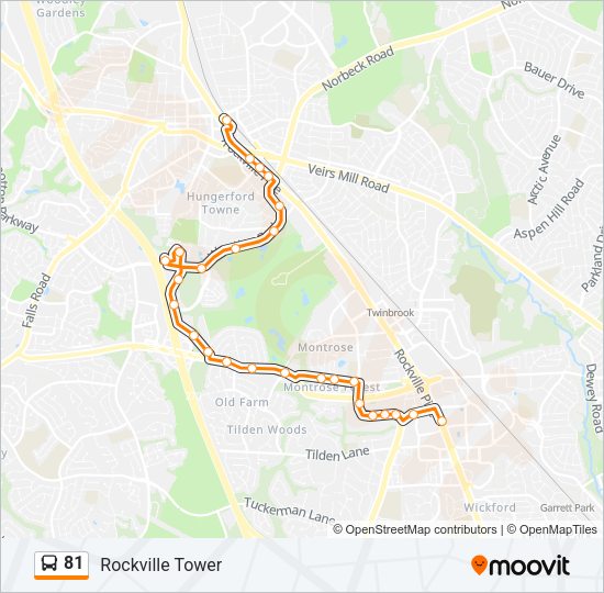 81 Bus Line Map