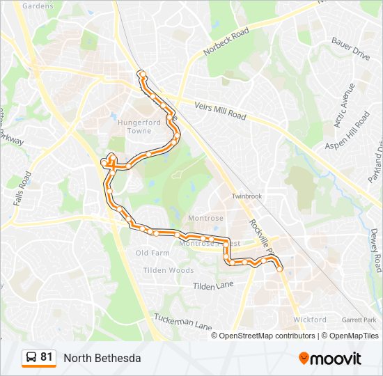 81 Bus Line Map