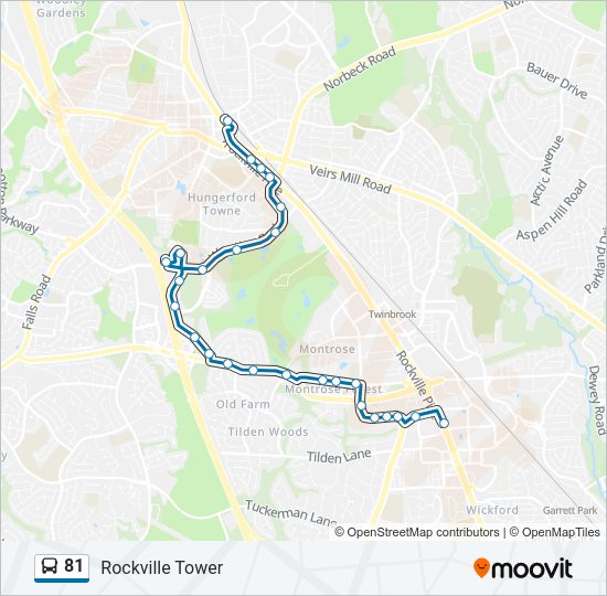 81 Bus Line Map