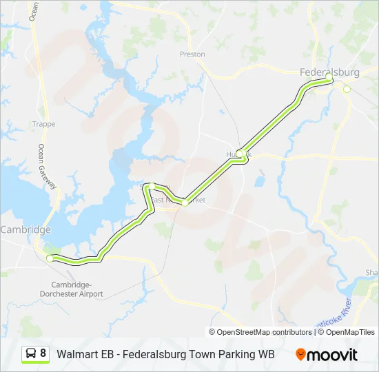 8 Bus Line Map
