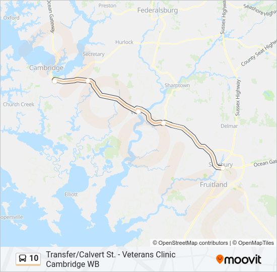 10 Bus Line Map