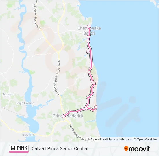 PINK Bus Line Map