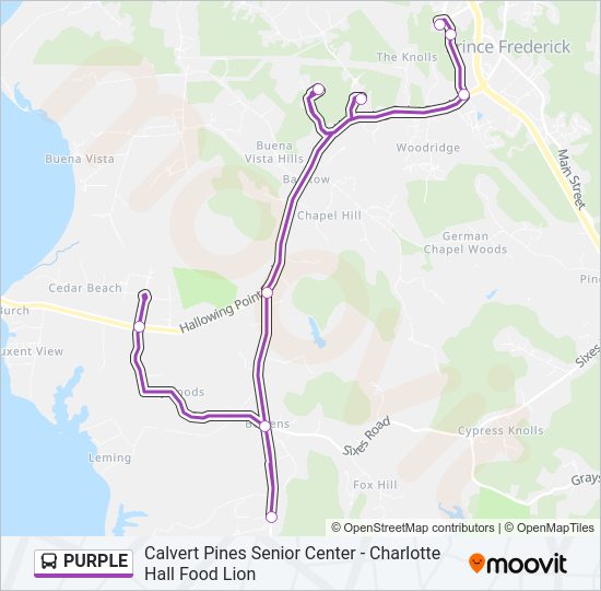 PURPLE Bus Line Map