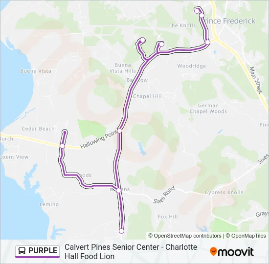 PURPLE Bus Line Map