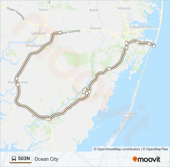 503N Bus Line Map