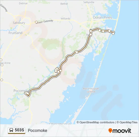 503S Bus Line Map